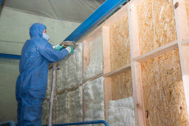 Best Attic Insulation Installation  in Fredonia, KS